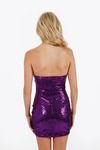 Haisley Sequin Bodycon Mini Dress - Plum
